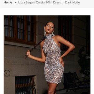 Sparkling Crystal Mini Dress in Dark Nude